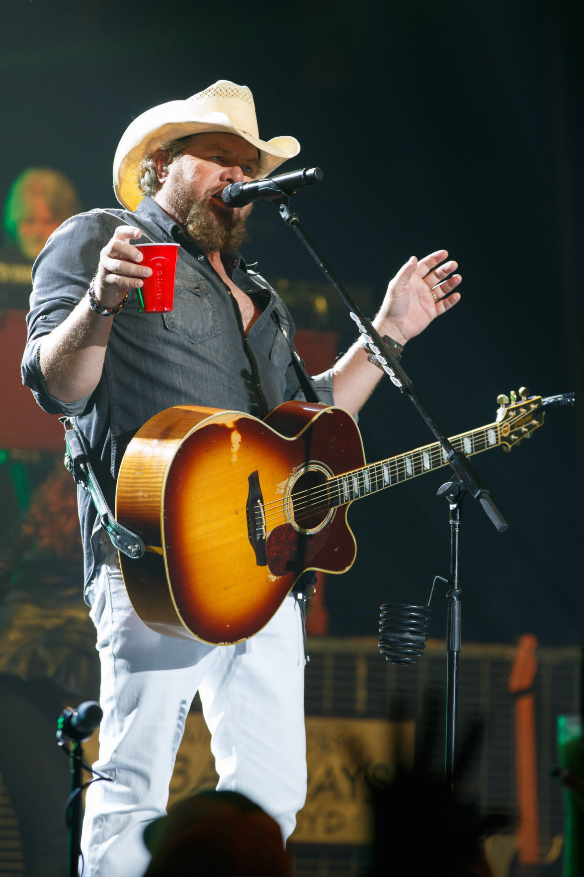Toby Keith 2016 concert